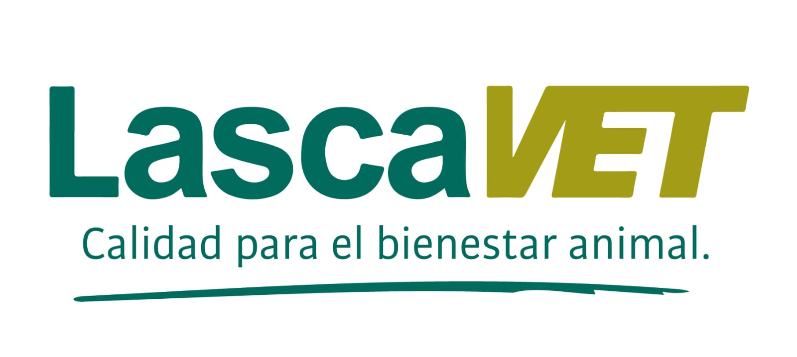 expositores 2025